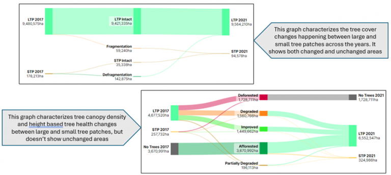 Scalable Monitoring of Tree Canopy Density and Height in India at High Spatial Resolutions