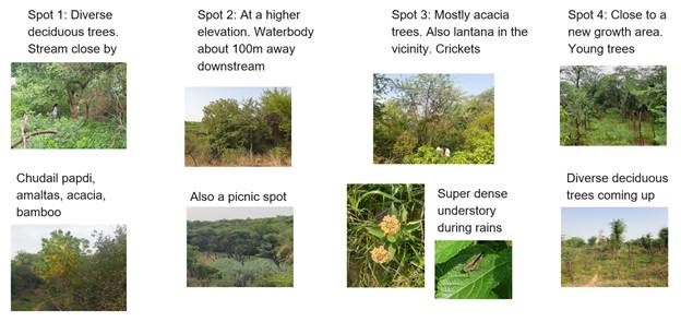 ecological restoration toolkit: Bioacoustics Analysis pipelines